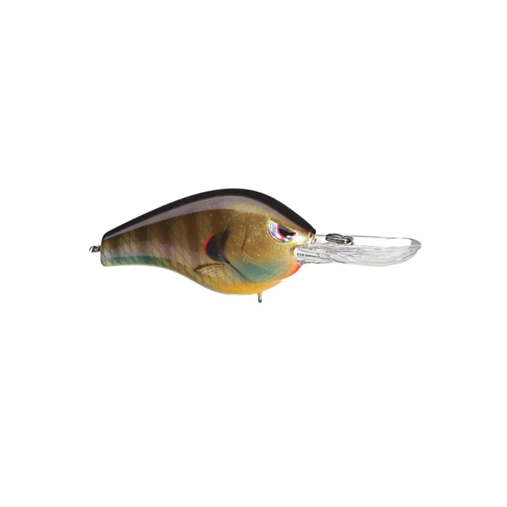 Online Fat Papa 55 Crankbait Medium Diving Crankbaits (6-10')