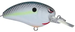 New Little John MD Type R 50 Crankbaits Medium Diving Crankbaits (6-10')