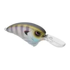 Hot Outsider Crank MR 60 Crankbait Medium Diving Crankbaits (6-10')