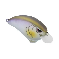 Clearance Outsider Crank SR 55 Crankbait Shallow Diving Crankbaits (0-5')