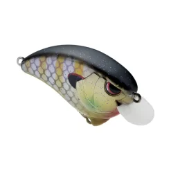 Clearance Outsider Crank SR 55 Crankbait Shallow Diving Crankbaits (0-5')