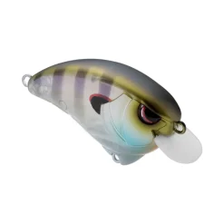 Clearance Outsider Crank SR 55 Crankbait Shallow Diving Crankbaits (0-5')