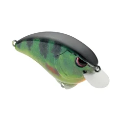 Clearance Outsider Crank SR 55 Crankbait Shallow Diving Crankbaits (0-5')
