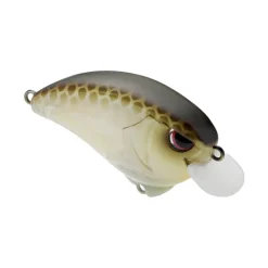 Clearance Outsider Crank SR 55 Crankbait Shallow Diving Crankbaits (0-5')