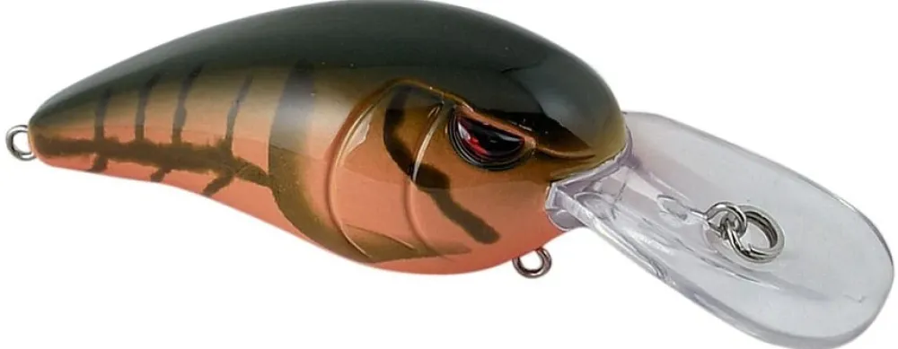 Best RkCrawler 50 Crankbaits Medium Diving Crankbaits (6-10')