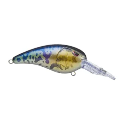 Online RkCrawler MD 55 Crankbaits Medium Diving Crankbaits (6-10')
