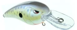 Online RkCrawler MD 55 Crankbaits Medium Diving Crankbaits (6-10')
