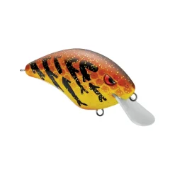 New Speed Demon 55 Crankbait Shallow Diving Crankbaits (0-5')