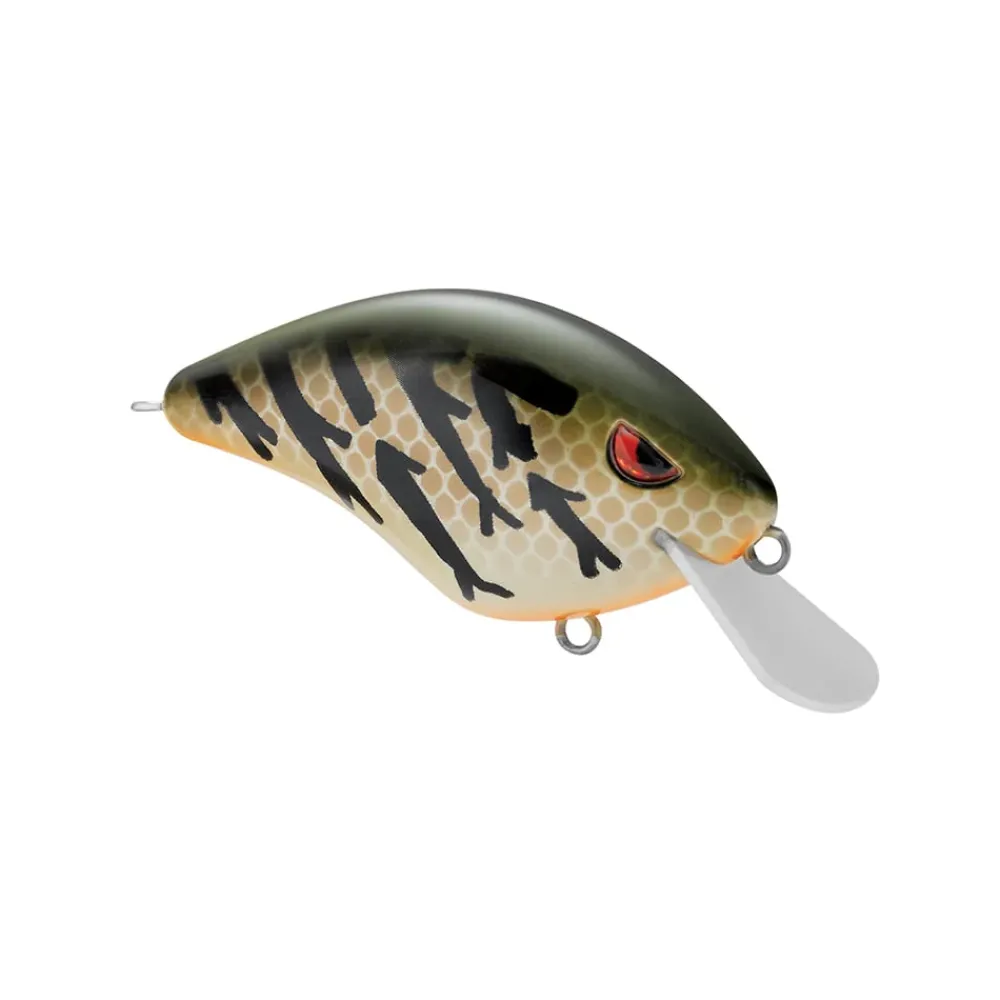 New Speed Demon 55 Crankbait Shallow Diving Crankbaits (0-5')
