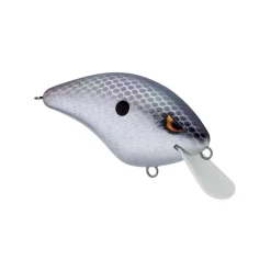 New Speed Demon 55 Crankbait Shallow Diving Crankbaits (0-5')