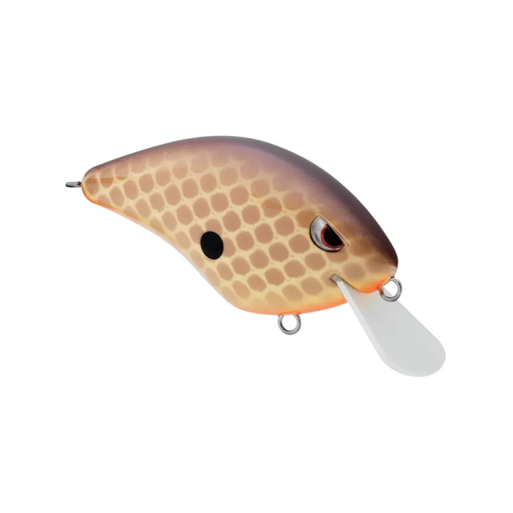 New Speed Demon 55 Crankbait Shallow Diving Crankbaits (0-5')