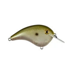Clearance Chick Magnet Flatside Crankbaits Shallow Diving Crankbaits (0-5')