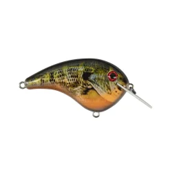 Clearance Chick Magnet Flatside Crankbaits Shallow Diving Crankbaits (0-5')