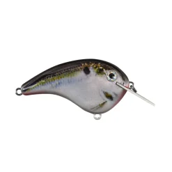 Clearance Chick Magnet Flatside Crankbaits Shallow Diving Crankbaits (0-5')