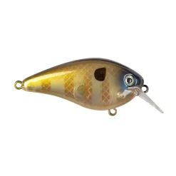 New KVD 1.5 Hard Knock Squarebill Crankbait Shallow Diving Crankbaits (0-5')