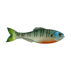 Sale Panorama Baitfish Creature Baits|Soft Jerkbaits & Minnows
