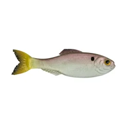 Sale Panorama Baitfish Creature Baits|Soft Jerkbaits & Minnows