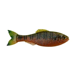 Sale Panorama Baitfish Creature Baits|Soft Jerkbaits & Minnows