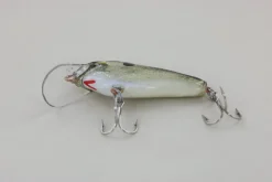 Hot #3 Black Back Curiosity Box