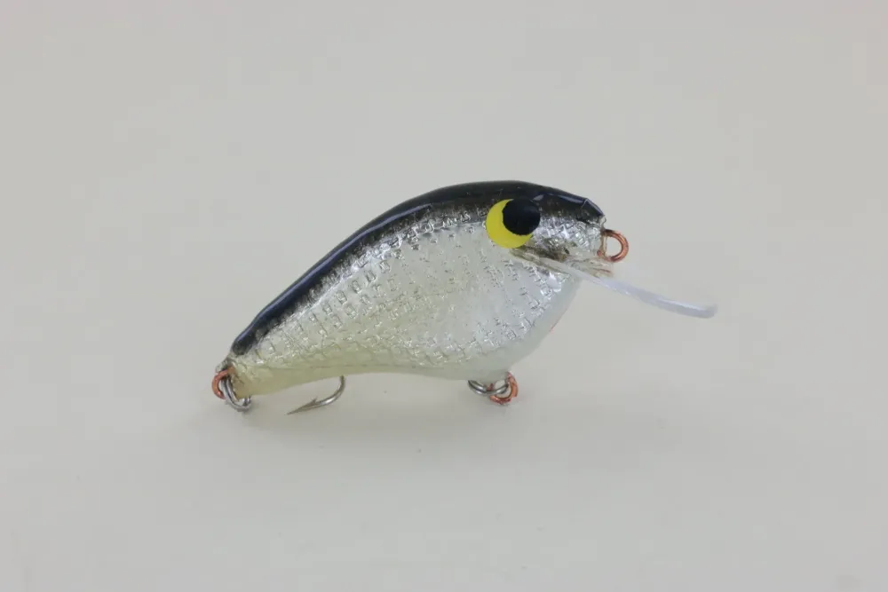 Sale #2 Black Back Curiosity Box