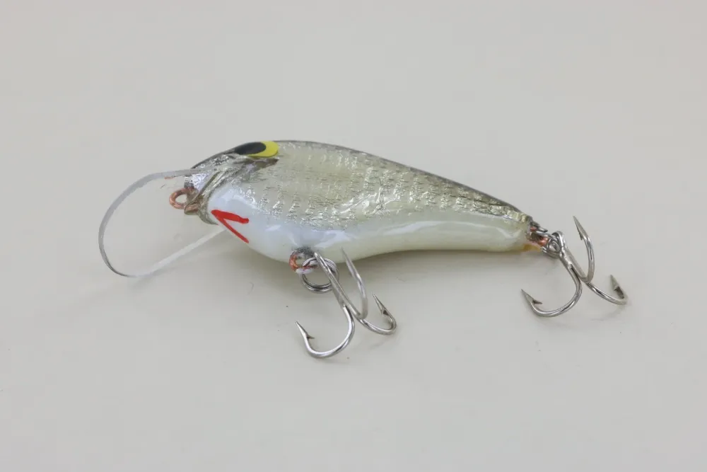 Sale #2 Black Back Curiosity Box