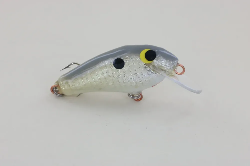 Clearance #3 Grey Back Curiosity Box