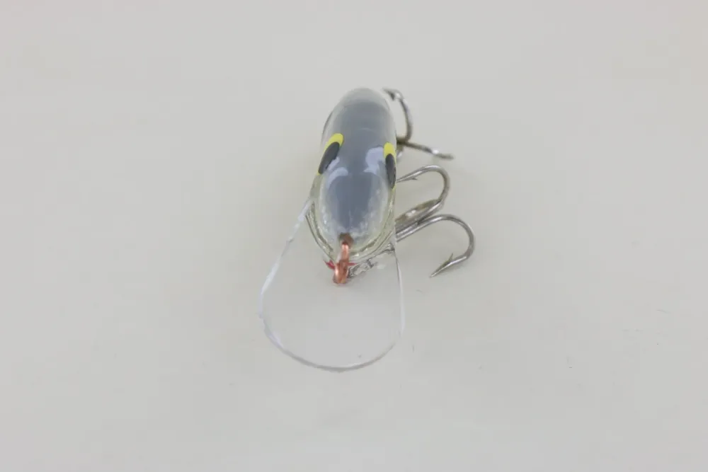 Clearance #3 Grey Back Curiosity Box