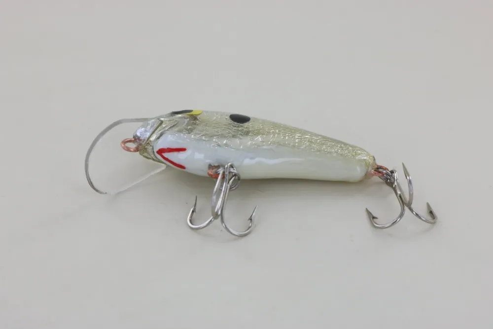 Clearance #3 Grey Back Curiosity Box