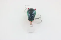 Online Red Eye Craw Green Foil Curiosity Box